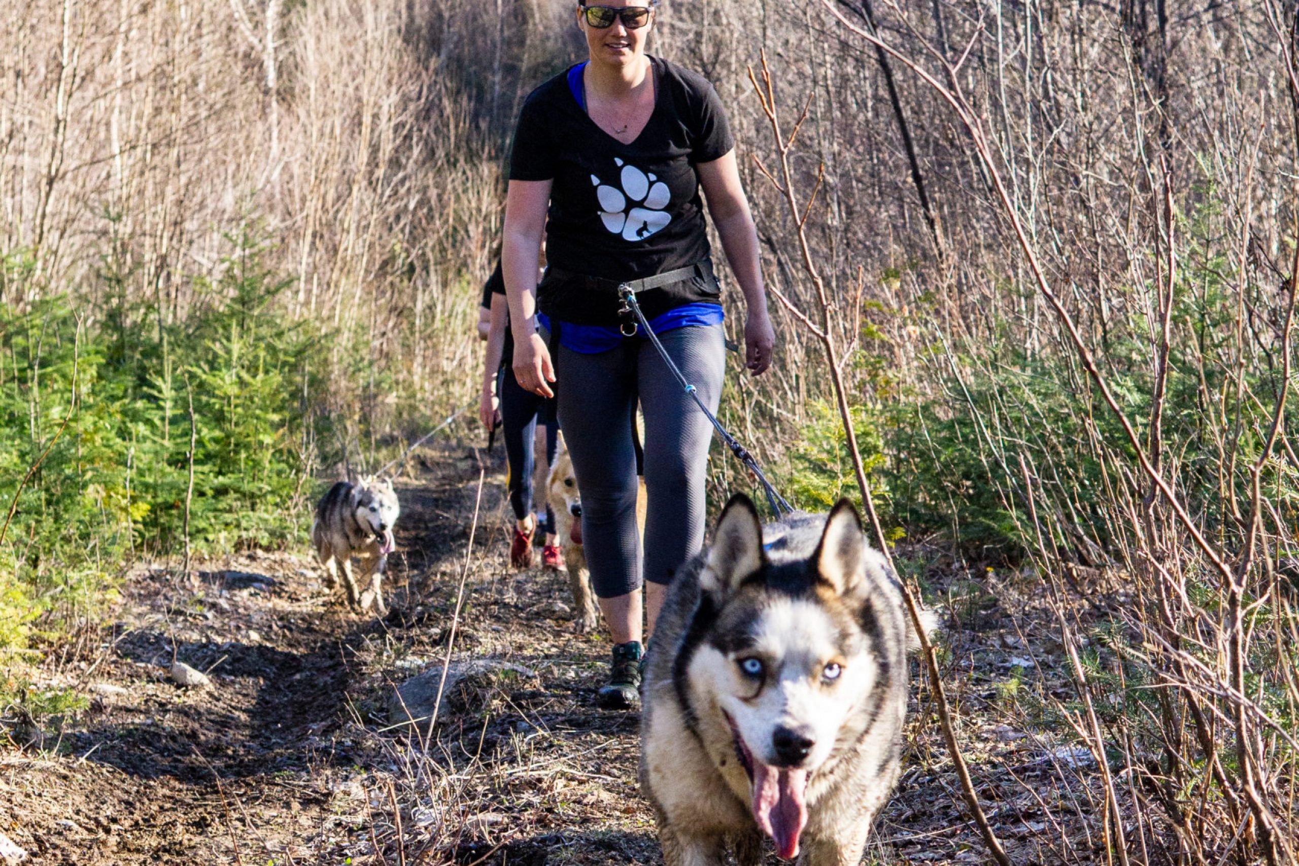 CaniRando-Saguenay-1